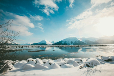 Sydney harbor with opera house and bridge